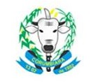 Prefeitura Municipal de Corumbiara